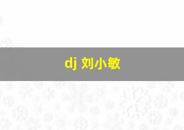 dj 刘小敏